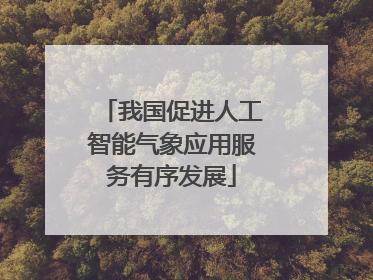 我国促进人工智能气象应用服务有序发展