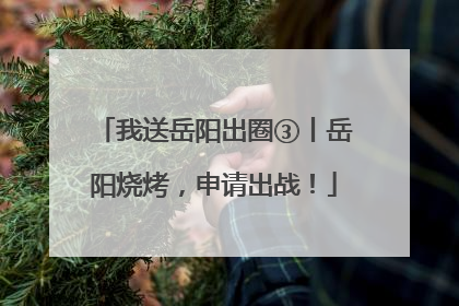 我送岳阳出圈③丨岳阳烧烤，申请出战！