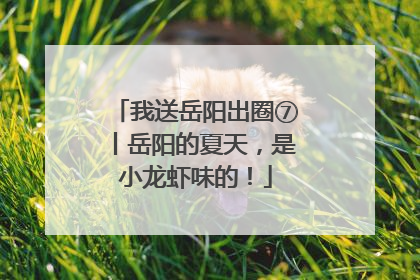 我送岳阳出圈⑦丨岳阳的夏天，是小龙虾味的！