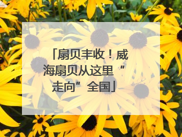 扇贝丰收！威海扇贝从这里“走向”全国