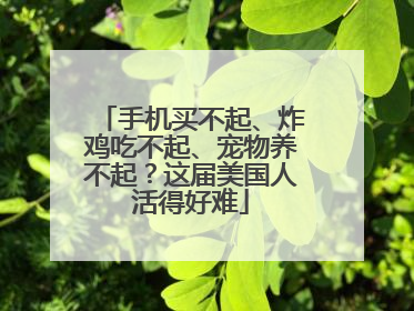 手机买不起、炸鸡吃不起、宠物养不起？这届美国人活得好难