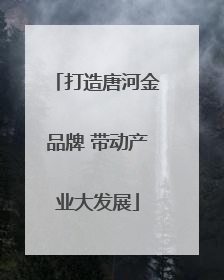 打造唐河金品牌 带动产业大发展