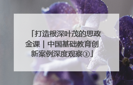 打造根深叶茂的思政金课｜中国基础教育创新案例深度观察③