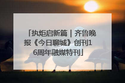 执炬启新篇｜齐鲁晚报《今日聊城》创刊16周年融媒特刊