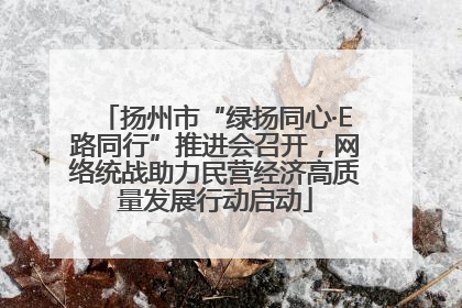扬州市“绿扬同心·E路同行”推进会召开，网络统战助力民营经济高质量发展行动启动