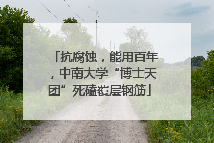 抗腐蚀，能用百年，中南大学“博士天团”死磕覆层钢筋