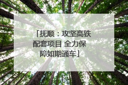 抚顺：攻坚高铁配套项目 全力保障如期通车