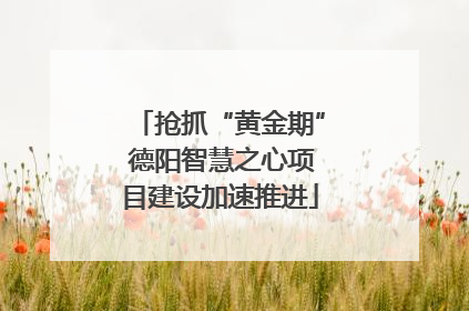 抢抓“黄金期” 德阳智慧之心项目建设加速推进