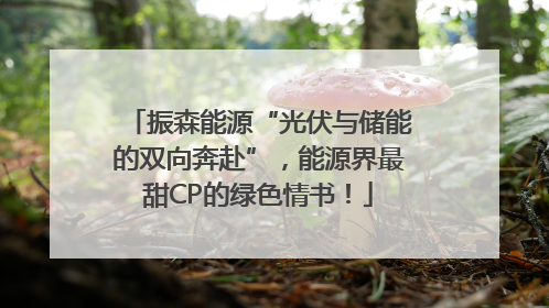 振森能源“光伏与储能的双向奔赴”，能源界最甜CP的绿色情书！