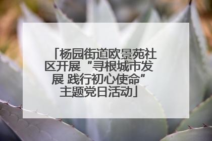 杨园街道欧景苑社区开展“寻根城市发展 践行初心使命”主题党日活动