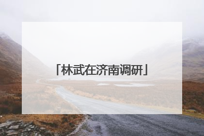 林武在济南调研