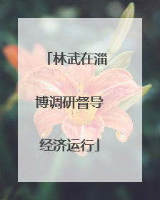 林武在淄博调研督导经济运行