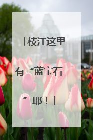 枝江这里有“蓝宝石”耶！