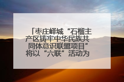 枣庄峄城“石榴主产区铸牢中华民族共同体意识联盟项目”将以“六联”活动为抓手深化品牌建设