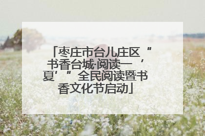 枣庄市台儿庄区“书香台城·阅读一‘夏’”全民阅读暨书香文化节启动