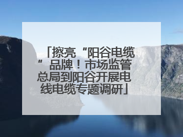 擦亮“阳谷电缆”品牌！市场监管总局到阳谷开展电线电缆专题调研