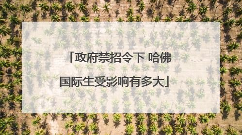 政府禁招令下 哈佛国际生受影响有多大