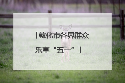 敦化市各界群众乐享“五一”