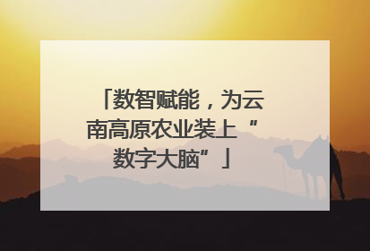 数智赋能，为云南高原农业装上“数字大脑”