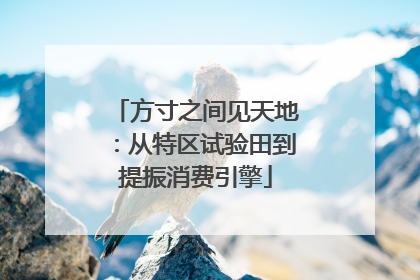 方寸之间见天地：从特区试验田到提振消费引擎