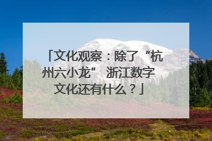 文化观察：除了“杭州六小龙” 浙江数字文化还有什么？