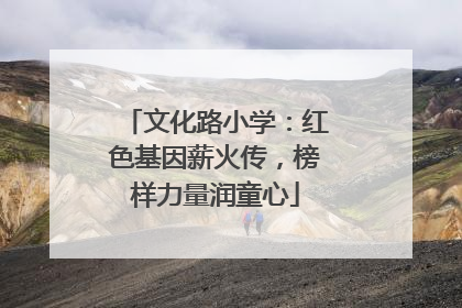 文化路小学：红色基因薪火传，榜样力量润童心