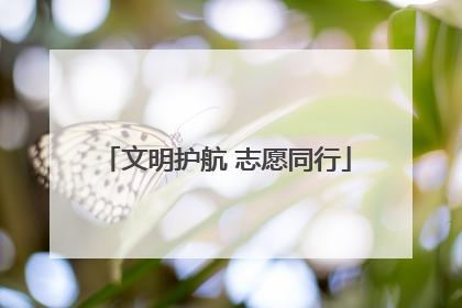 文明护航 志愿同行