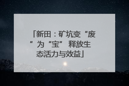 新田：矿坑变“废”为“宝” 释放生态活力与效益