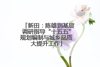 新田：陈雄到基层调研指导“十五五”规划编制与城乡品质大提升工作