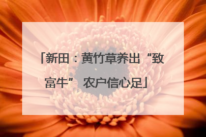 新田：黄竹草养出“致富牛” 农户信心足