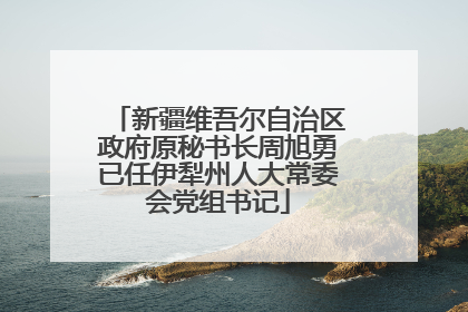 新疆维吾尔自治区政府原秘书长周旭勇已任伊犁州人大常委会党组书记