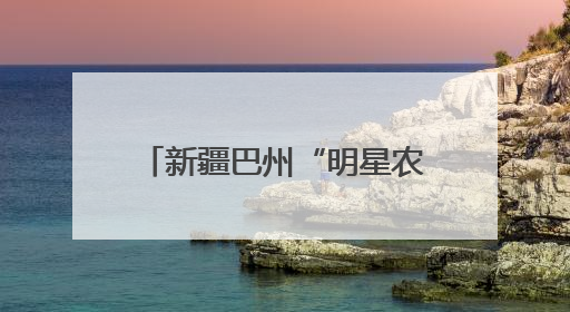 新疆巴州“明星农产品”亮相2025商博会受关注