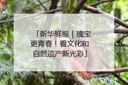 新华鲜报｜瑰宝更青春！看文化和自然遗产新光彩