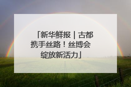 新华鲜报｜古都携手丝路！丝博会绽放新活力
