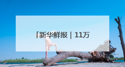 新华鲜报｜11万列！中欧班列跑出亚欧大陆“新时速”