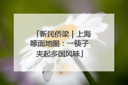 新民侨梁｜上海嗦面地图：一筷子夹起多国风味