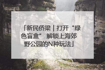 新民侨梁｜打开“绿色盲盒” 解锁上海郊野公园的N种玩法