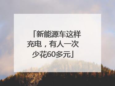 新能源车这样充电，有人一次少花60多元