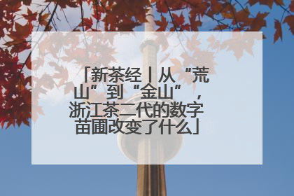 新茶经丨从“荒山”到“金山”，浙江茶二代的数字苗圃改变了什么