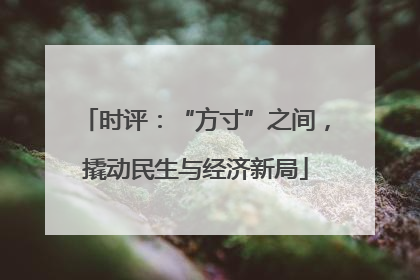时评：“方寸”之间，撬动民生与经济新局