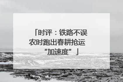 时评：铁路不误农时跑出春耕抢运“加速度”