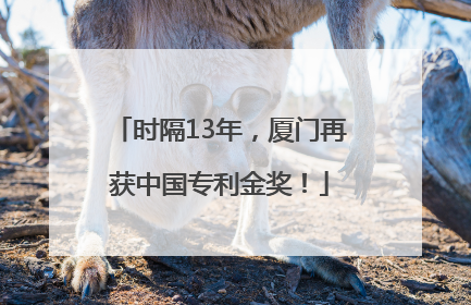 时隔13年,厦门再获中国专利金奖!