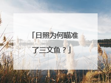 日照为何瞄准了三文鱼？