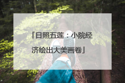 日照五莲：小院经济绘出大美画卷