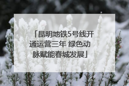 昆明地铁5号线开通运营三年 绿色动脉赋能春城发展