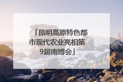 昆明高原特色都市现代农业亮相第9届南博会