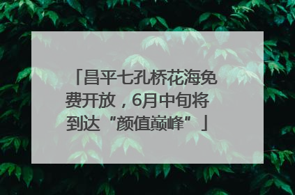 昌平七孔桥花海免费开放，6月中旬将到达“颜值巅峰”