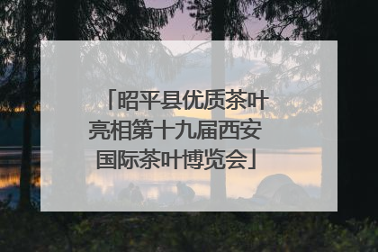 昭平县优质茶叶亮相第十九届西安国际茶叶博览会