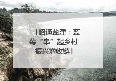 昭通盐津：蓝莓“串”起乡村振兴增收链