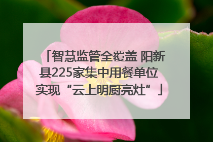 智慧监管全覆盖 阳新县225家集中用餐单位实现“云上明厨亮灶”